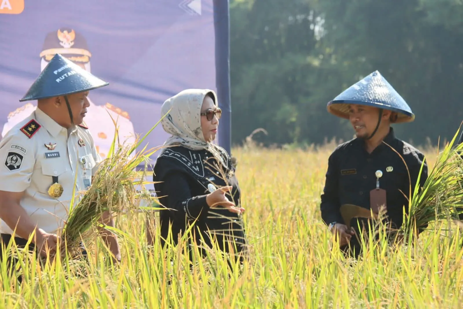 Rutan Blora Didorong Produksi Padi Organik, Wabup Sri Setyorini Targetkan Tembus Pasar Jakarta