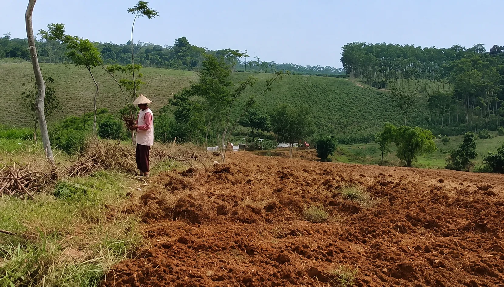 Bongkar Mafia Tanah Pati Utara: Lahan 175 Hektar Karangsari Dijarah Orang Luar, DPRD Dipaksa Gelar Audiensi!