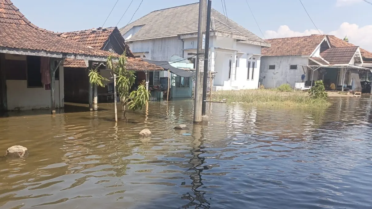 Hantam 5 RT di Tunggulsari Pati, Banjir Rob Rendam 80 Rumah dan 85 Hektare Tambak