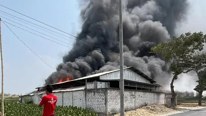 BPBD Catat Kebakaran Gudang Rosok di Pancur, Kerugian Rp250 Juta